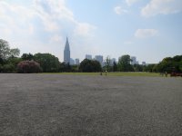 IMG_0320.JPG